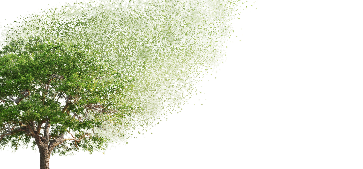 Pepin County Housing Authority Rental Communities Apartments in